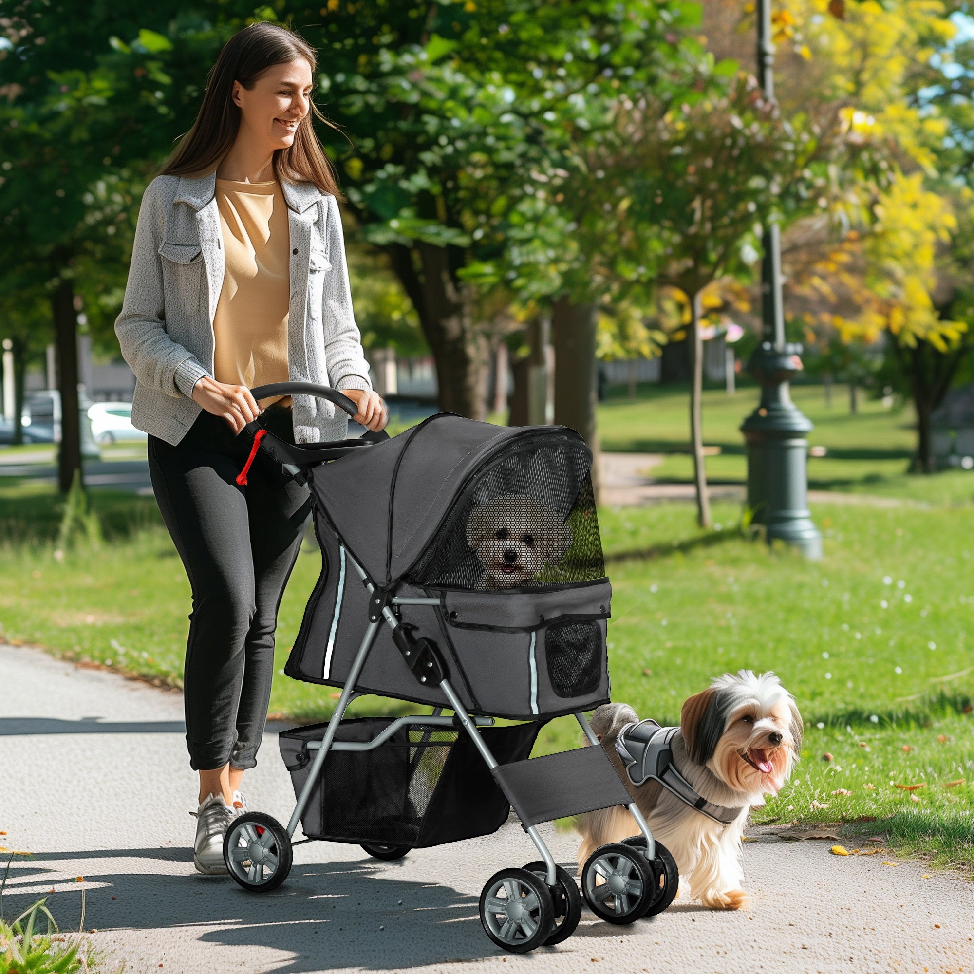 PawHut Foldable Pet Stroller for Small and Miniature Dog, Dark Grey 