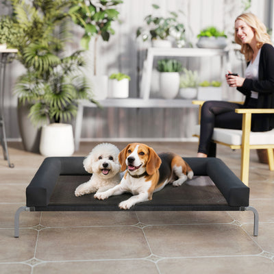 PawHut Elevated Dog Bed with Removable Bolsters, Raised Dog Bed for Large Breeds, Portable Indoor & Outdoor Pet Cots, Black 