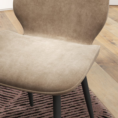 HOMCOM Velvet Dining Chairs, Set of 2 Dining Room Chairs with Metal Legs for Living Room, Dining Room, Light Brown 