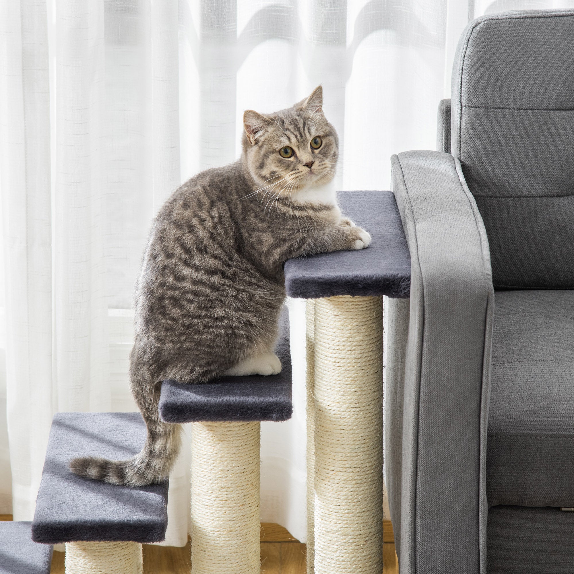 PawHut Dog Steps for Bed 4 Step Pet Stairs for Dog Cat ladder Scratch Post Grey 