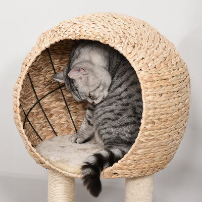 PawHut Cat Tree for Indoor Cats 100cm Kitten Climbing Tower Activity Center with Sisal Scratching Post Condo Perch Hanging Balls Teasing Rope Toy Cushion 