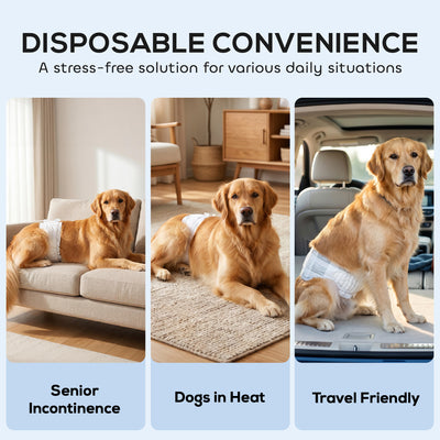 PawHut Dog Diapers Super Absorbent Leak-Proof Dog Nappies for Male Dogs Size L 62-80 cm Waist