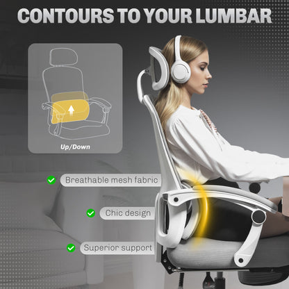 HOMCOM Ergonomic Office Chair, Mesh High Back Desk Chair with Adjustable Lumbar Support and Headrest, Footrest, Reclining Executive Swivel Computer Chair for Home Study, Grey 