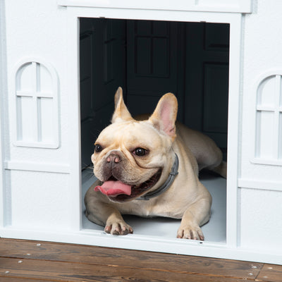 PawHut Plastic Weather-Resistant Dog House, for Indoors and Outdoors, Medium Dogs - White and Blue 