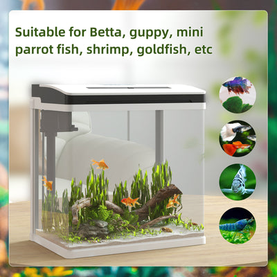 PawHut 13L Glass Aquarium Fish Tank with Filter, LED Lighting, for Betta, Guppy, Mini Parrot Fish, Shrimp, 29 x 20 x 30.5cm 