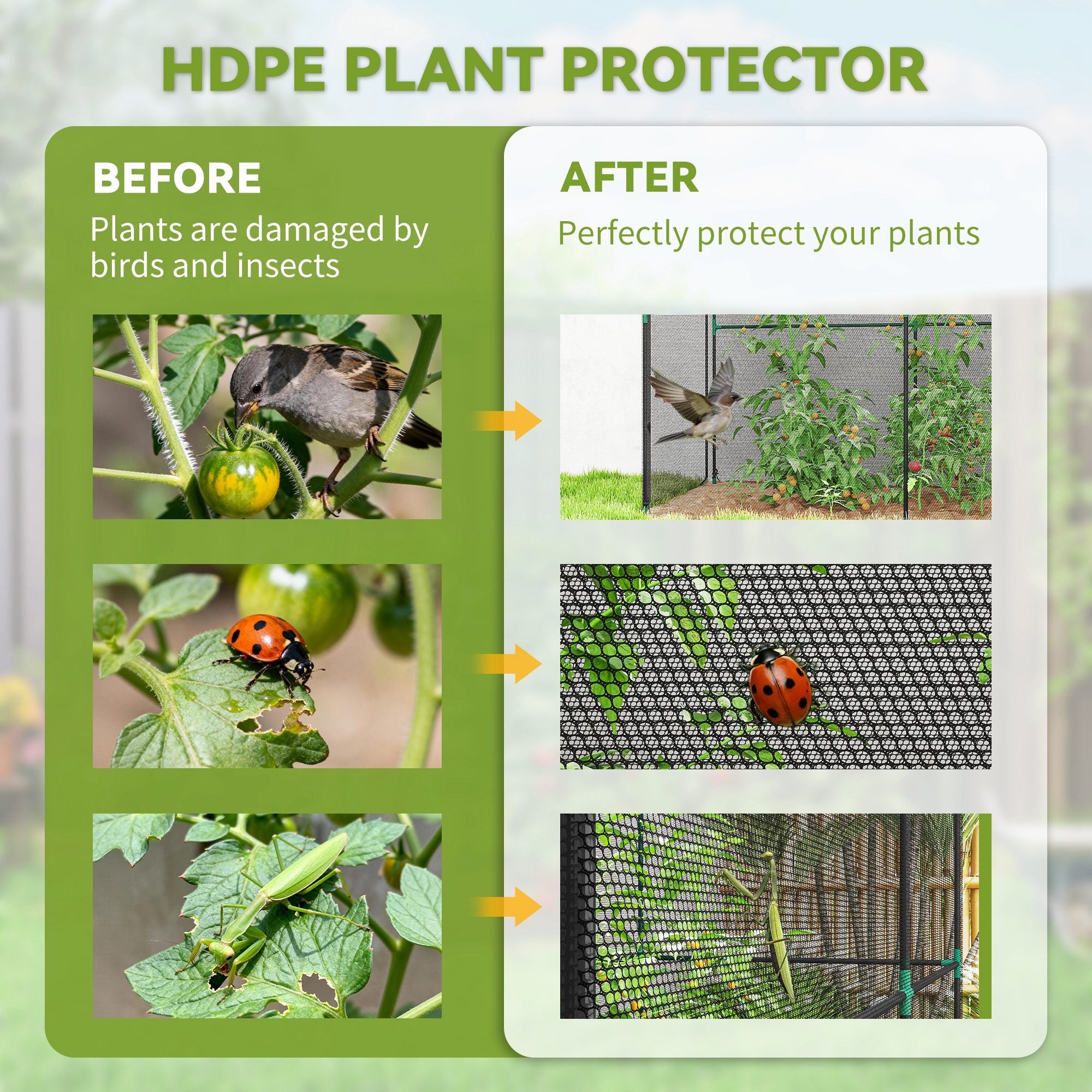 Outsunny Fruit Cage Bird Netting, Brassica Cage Plant Protection Tent with Zipped Door, Anti Bird, Insects, Small Animals, Black 