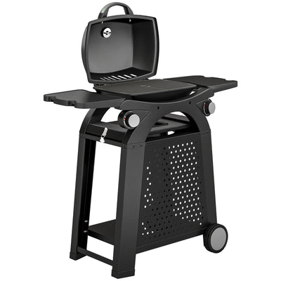 Outsunny 2 Burner Gas Grill with 2 Side Tables, 3.8 KW Barbecue Grill with Cast Iron Grates, 2-in-1 Tabletop BBQ with Wheels 