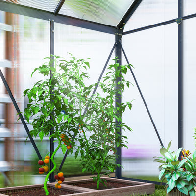 Outsunny 192.5 x 131cm Walk-In Polycarbonate Greenhouse 