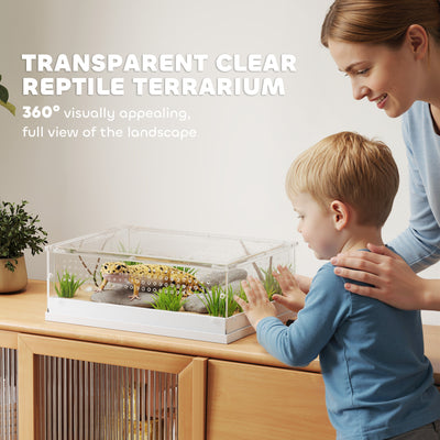 PawHut Acrylic Reptile Terrarium with Top Sliding Door, Vents,  for Snake, Frog, Spider, Gecko, Tarantula, 40 x 30 x 15 cm 