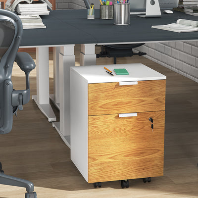 HOMCOM Two-Drawer Lockable Filing Cabinet - Wood Effect 