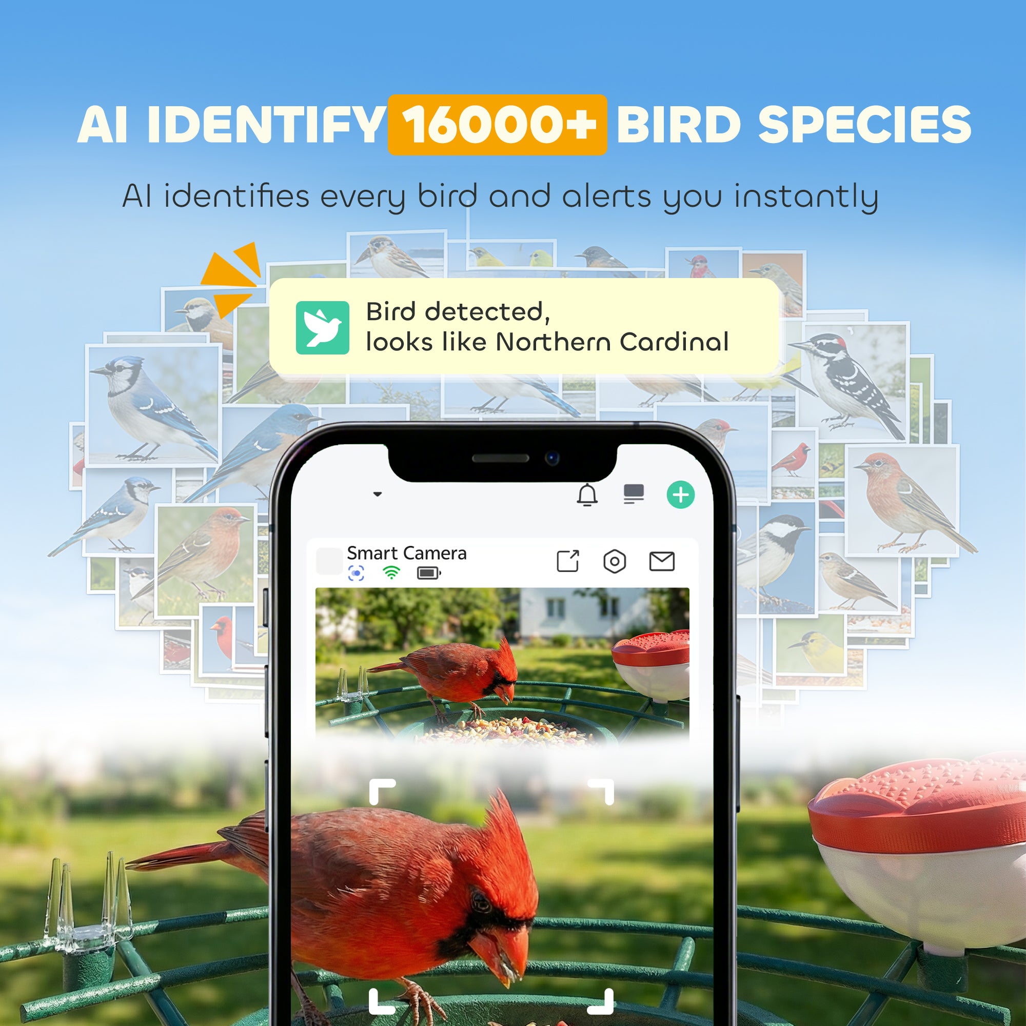 PawHut Smart Bird Feeder Camera 2K HD with AI Identifies 16,000+ Species, 2K HD Auto Capture Video, APP Instant Notifications 
