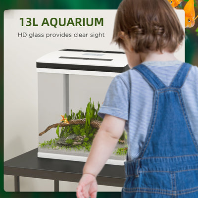 PawHut 13L Glass Aquarium Fish Tank with Filter, LED Lighting, for Betta, Guppy, Mini Parrot Fish, Shrimp, 29 x 20 x 30.5cm 