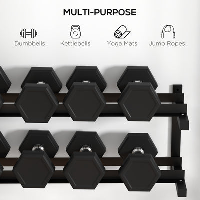 SPORTNOW Wall-Mounted Dumbbell Rack, 2-Tier Weight Stand, Space-Saving and Multi-Functional Steel organiser for Home Gym, Black 
