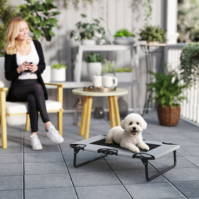 PawHut Portable Raised Dog Bed, Elevated Pet Cot with Breathable Mesh for Indoor Outdoor, for Small Medium Dogs, Light Grey 