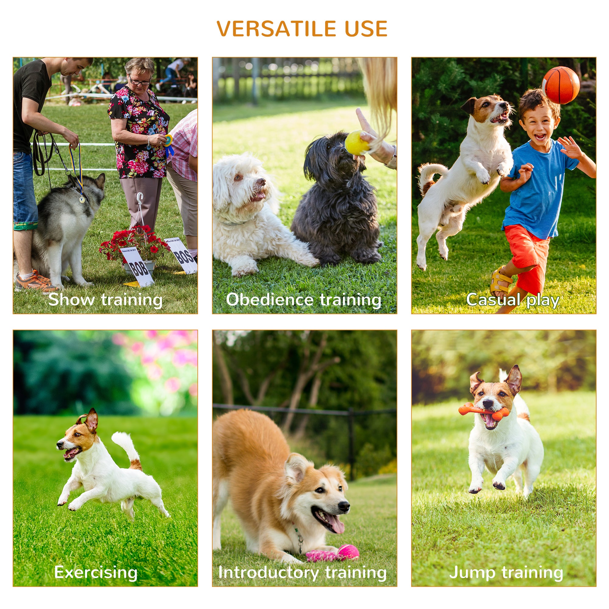 Pawhut Dog Agility Equipment Portable Pet Training Obstacle Set for Dogs 5 Pieces w/ Adjustable High Jumping Pole, Jumping Ring, Weave Poles, Tunnel 