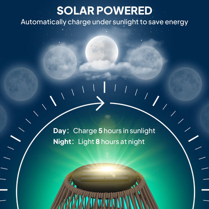 Outsunny Rattan Solar Lamp, Garden Solar Lantern with Auto On/Off Light, IP44 Waterproof, Decorative Outdoor Rattan Lamp for Porch, Pathway, Dark Brown 