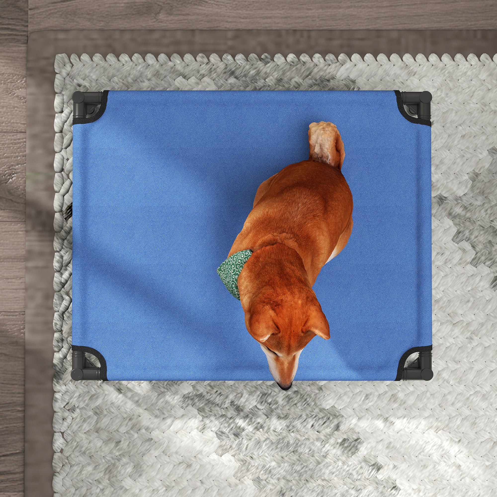 PawHut Raised Dog Bed Cat Elevated Lifted Portable Camping w/ Metal Frame Blue (Medium) 