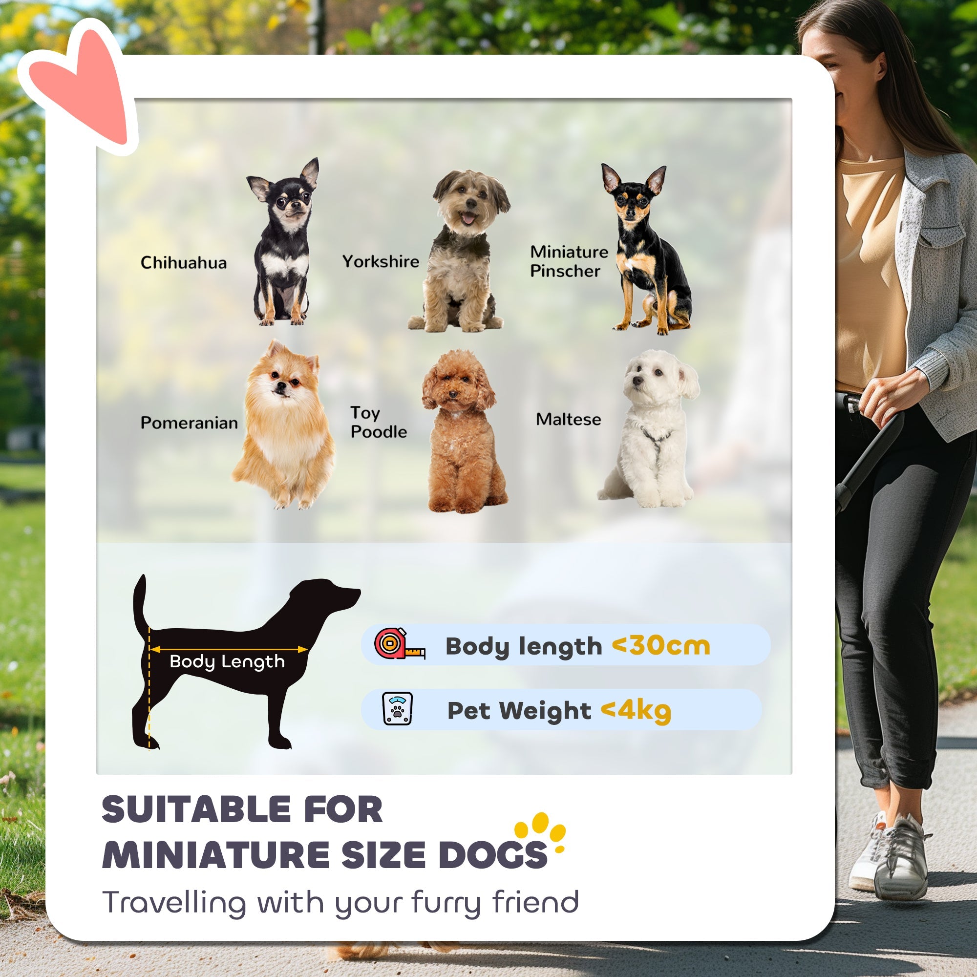 PawHut Umbrella Structure Dog Stroller, Lightweight & Portable Dog Pram w/ Shoulder Strap, Storage Bag & Cup Holder, Light Grey 