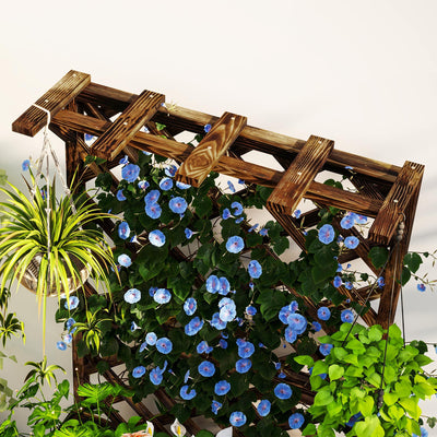 Outsunny Wooden Planter with Trellis, Freestanding Raised Garden Bed with Drainage Holes, Outdoor Planter Box with Liner for Vegetables, Herbs and Flowers, Carbonised 